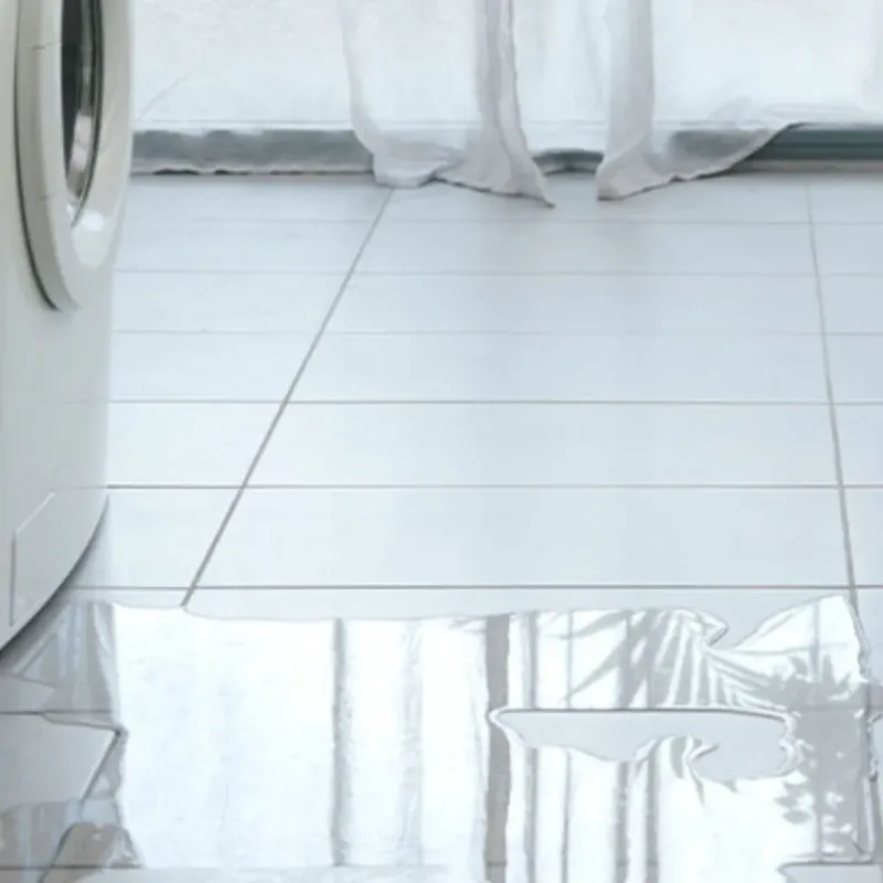 Appliance Leak Cleanup in Ocean Springs, MS