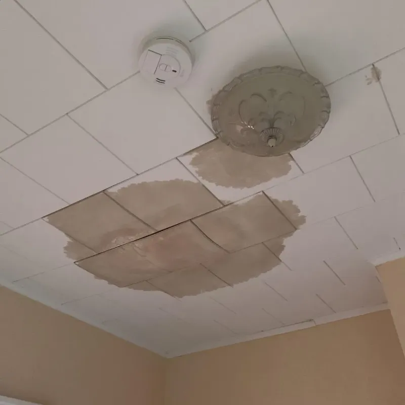 Ceiling Water Damage Repair in Ocean Springs, MS